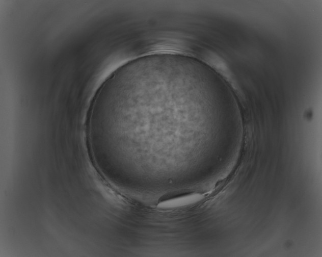 X0000093591427200710221514