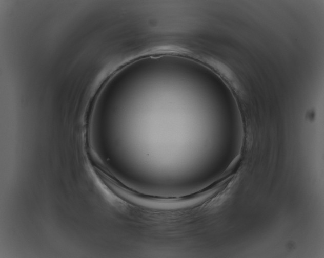 X0000093591430200710221514
