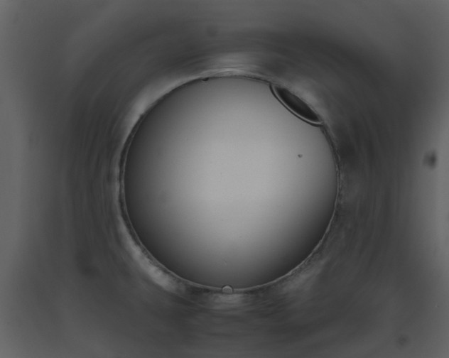 X0000093591431200710221514