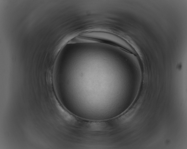 X0000093591433200710221514