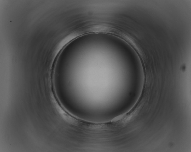 X0000093591434200710221514