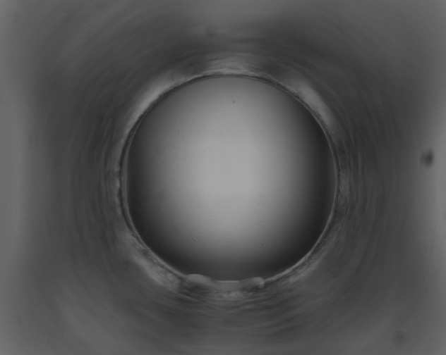 X0000093591435200710221514