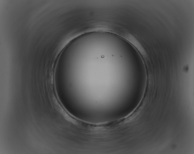 X0000093591436200710221514