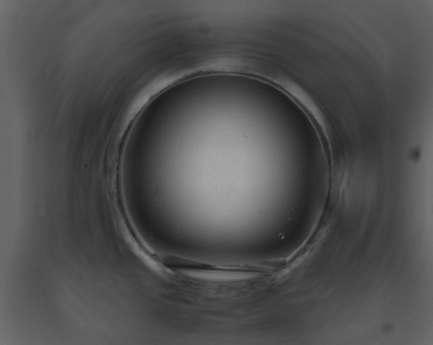X0000093591437200710221514