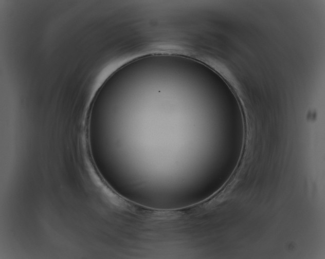 X0000093591440200710221514