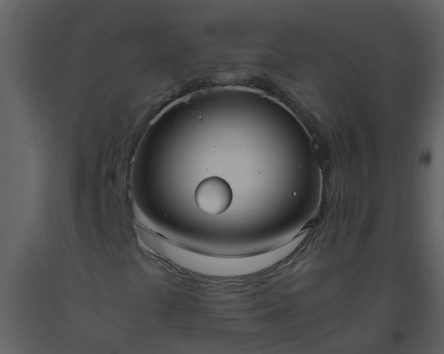X0000093591441200710221514