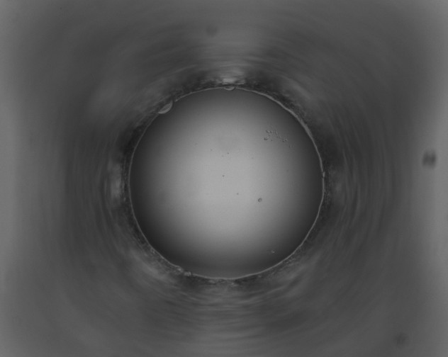 X0000093591442200710221514