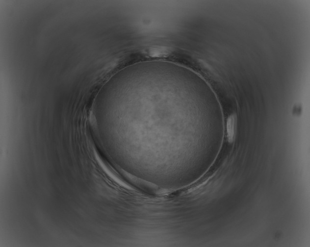 X0000093591443200710221514