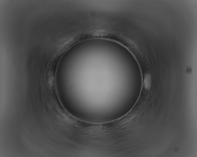 X0000093591444200710221514
