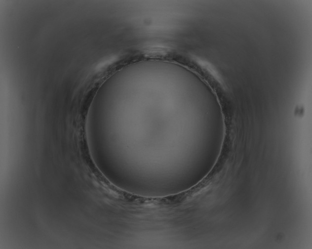 X0000093591445200710221514