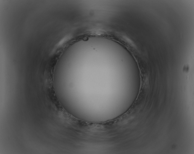 X0000093591446200710221514