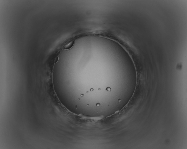 X0000093591447200710221514
