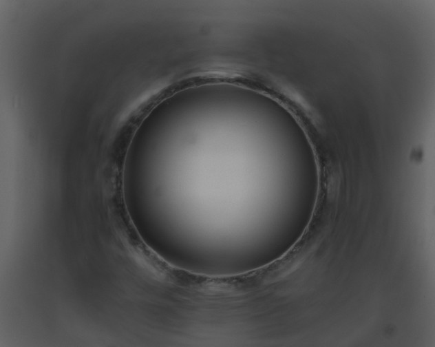 X0000093591448200710221514