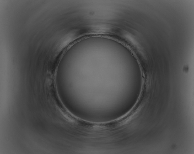 X0000093591449200710221514