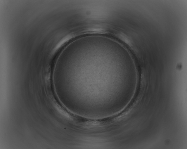 X0000093591450200710221514