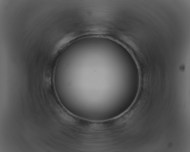 X0000093591451200710221514