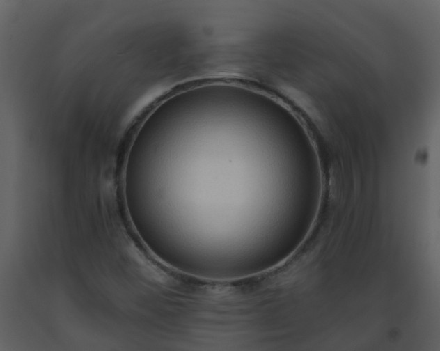 X0000093591452200710221513