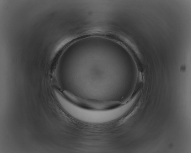 X0000093591453200710221513
