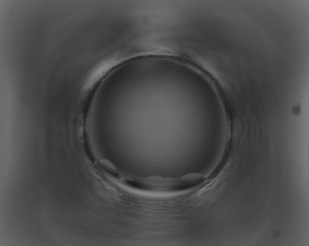 X0000093591455200710221513