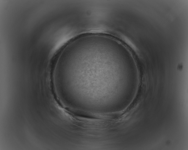 X0000093591456200710221513