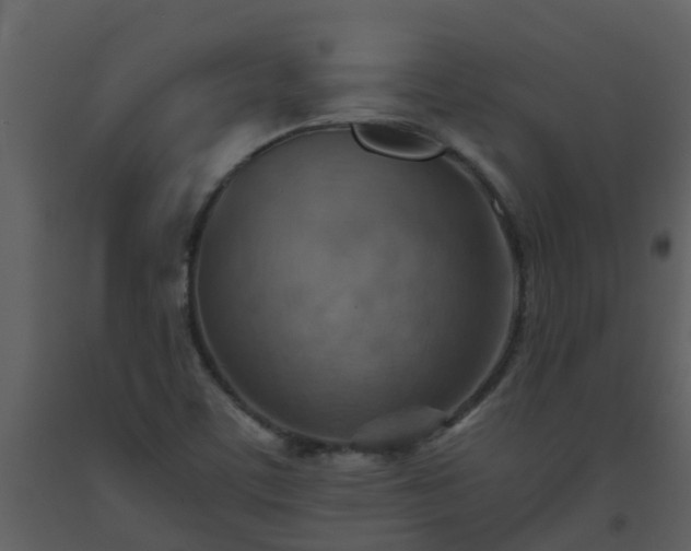 X0000093591459200710221513