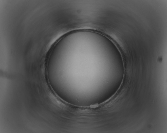 X0000093591460200710221513