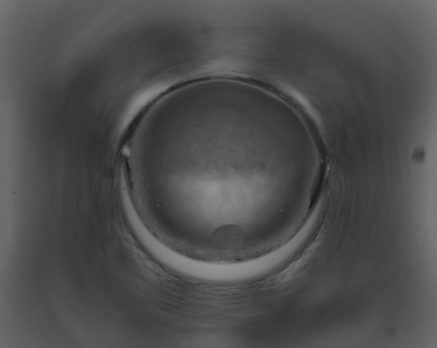 X0000093591461200710221513