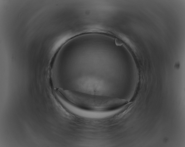 X0000093591463200710221513
