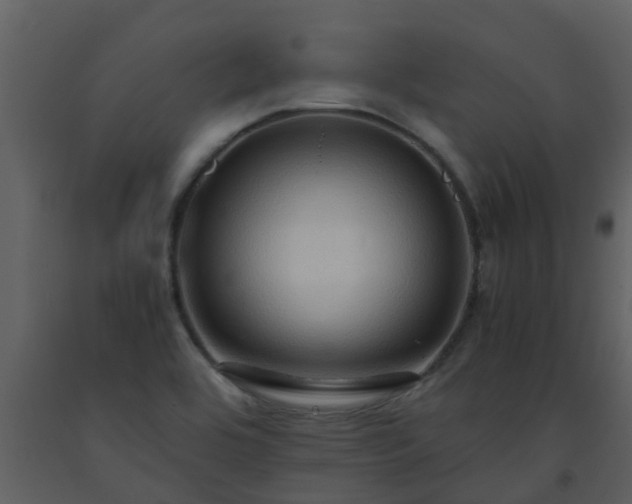 X0000093591464200710221513