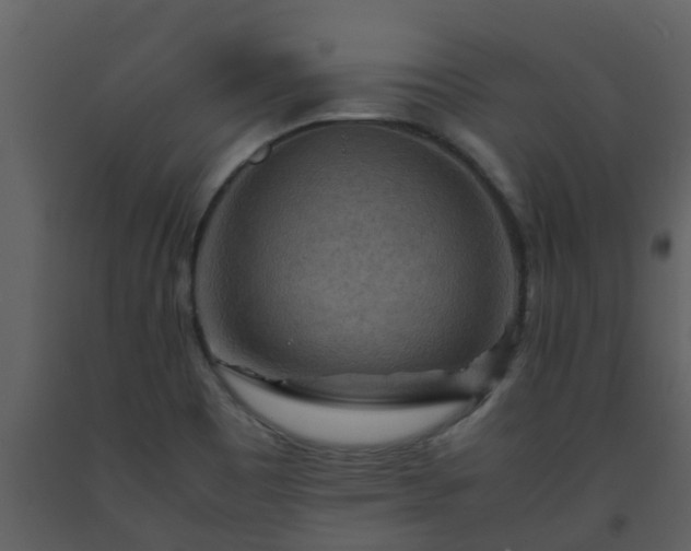 X0000093591465200710221513