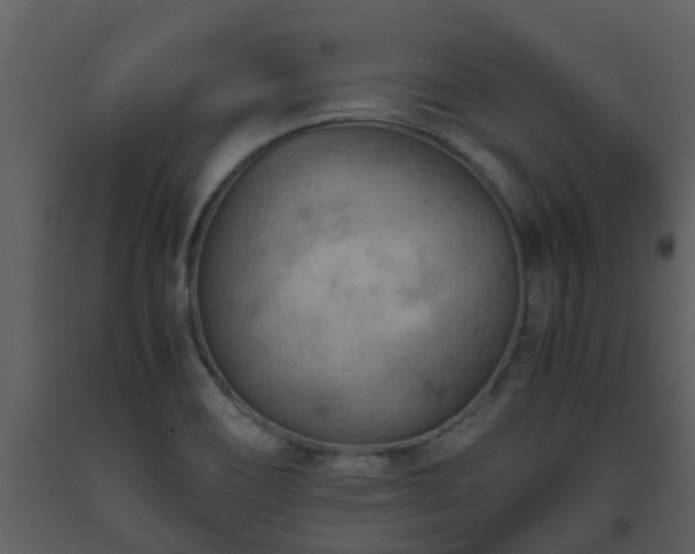 X0000093591466200710221513