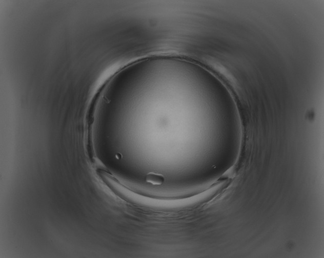 X0000093591467200710221513
