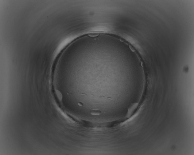 X0000093591469200710221513