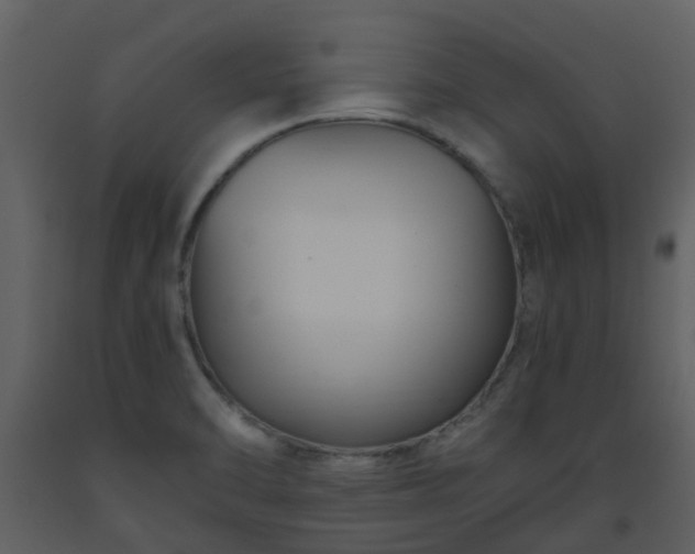 X0000093591470200710221513