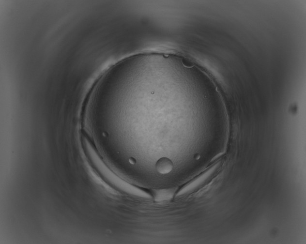 X0000093591471200710221513