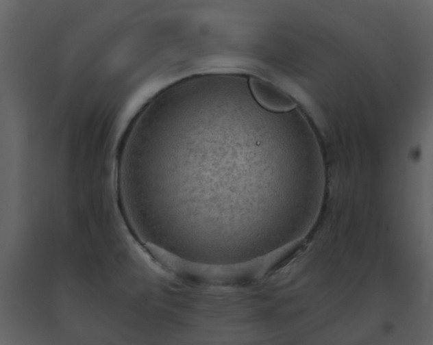X0000093591472200710221513