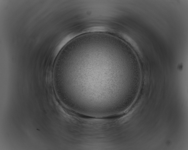 X0000093591473200710221513