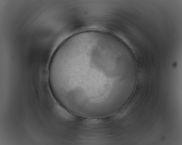 X0000093591474200710221513