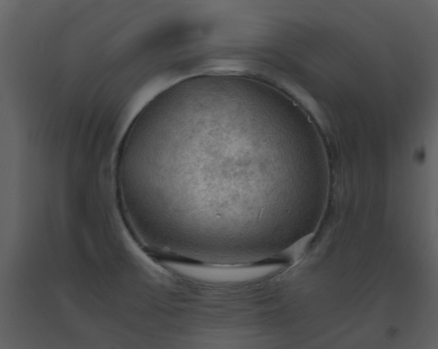 X0000093591475200710221513