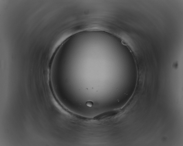 X0000093591476200710221513