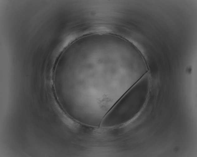 X0000093591477200710221513