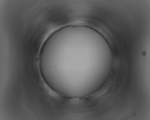 X0000093591478200710221513