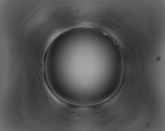 X0000093591479200710221513