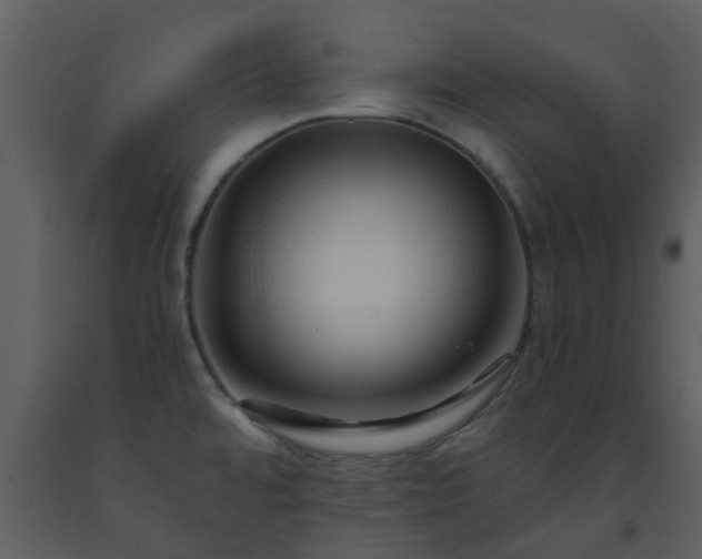 X0000093591480200710221513