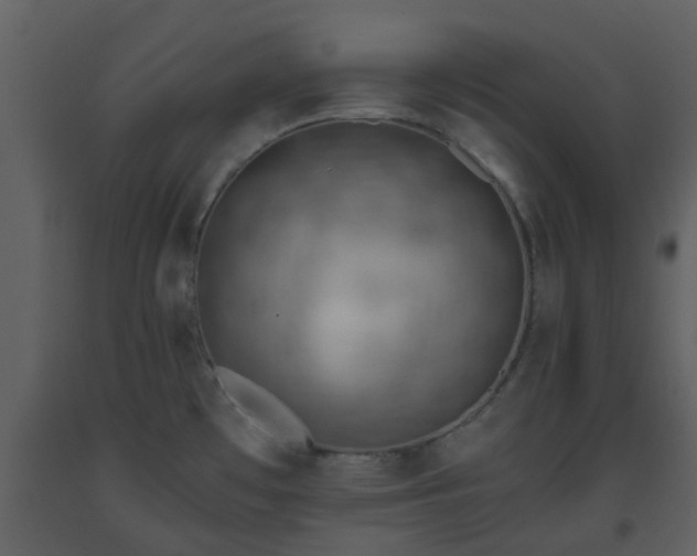 X0000093591481200710221513