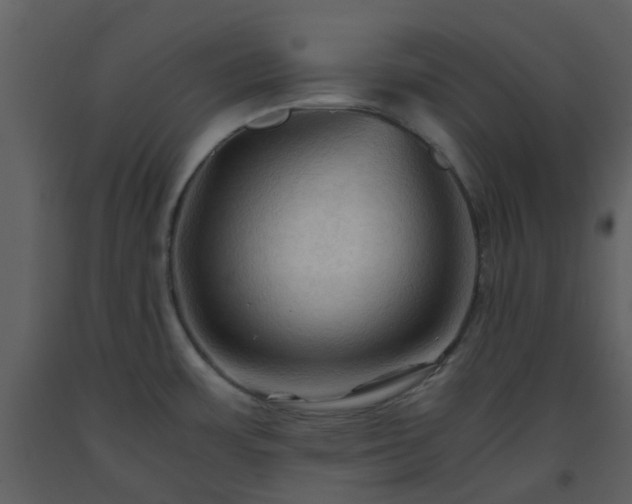 X0000093591483200710221513