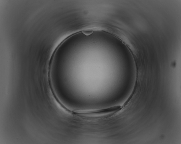 X0000093591484200710221513