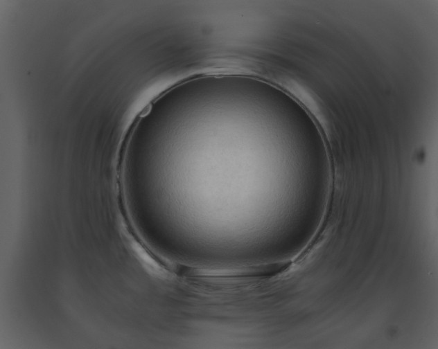 X0000093591485200710221513