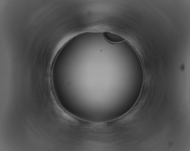 X0000093591486200710221513