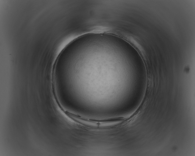 X0000093591487200710221513
